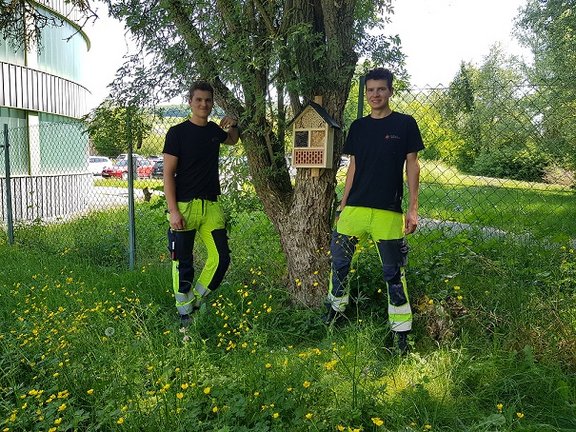 Insektenhotel 2 Mitarbeiter in Arbeitsklamotten stehen neben einem Baum an dem ein Insektenhotel hängt