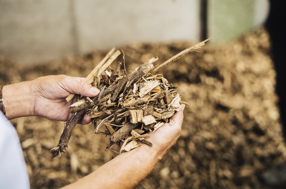 Holzhackschnitzel Zwei Hände halten Holzhackschnitzel in der Hand. Im Hintergrund ist ein verschwommener Berg Holzhackschnitzel zu sehen.