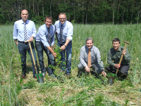 Aufforstung Menschen mit Spaten beim Pflanzen von Baumsetzlingen