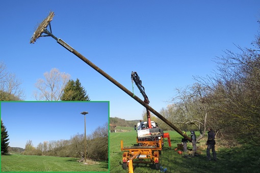 Storchennest Aufbau eines neuen Storchennests in Wachbach: Ein großer Holzmast mit Nestplattform wird mithilfe eines Krans und mehrerer Personen auf einer Wiese aufgerichtet. Im kleinen eingeblendeten Bild ist das fertig aufgestellte Storchennest bei klarem Himmel zu sehen.